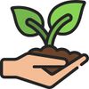 Plant2.jpg