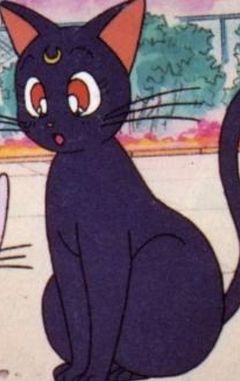 Luna2.jpeg